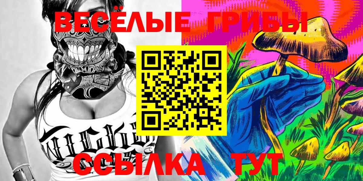 Псилоцибиновые грибы Cubensis  Псилоцибиновые грибы мухоморы  Вход с VPN  Канаш 